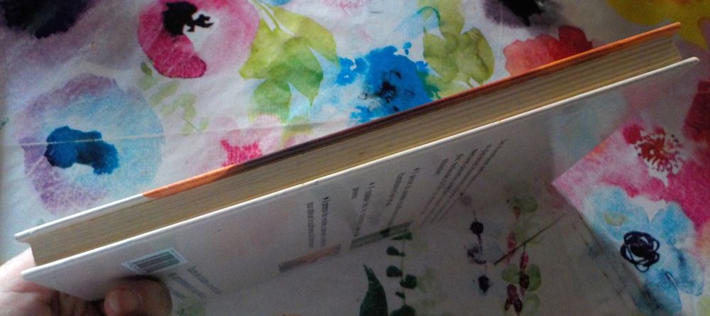 L'ARTHRITE ET LES RHUMATISMES et vivre mieux Livres et BD