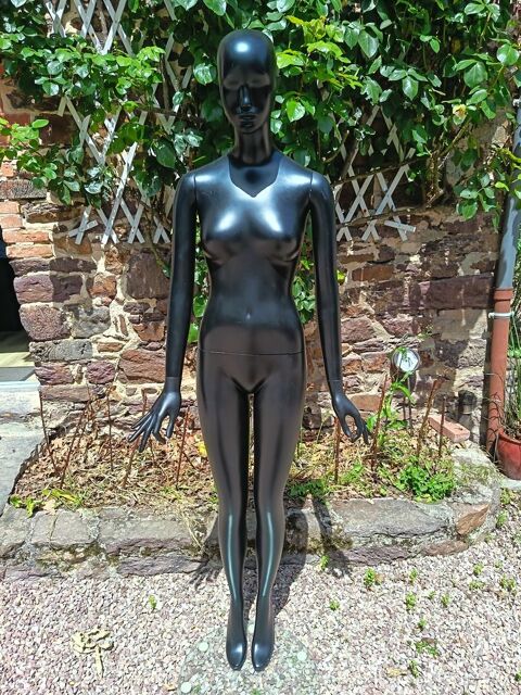 Mannequins femme Bréal-sous-Montfort (35)