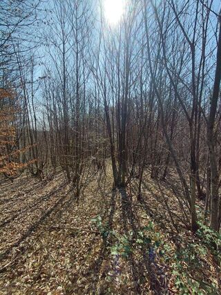  Terrain à vendre 2050 m²