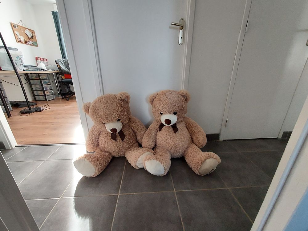 Nounours 60 cms Jeux / jouets