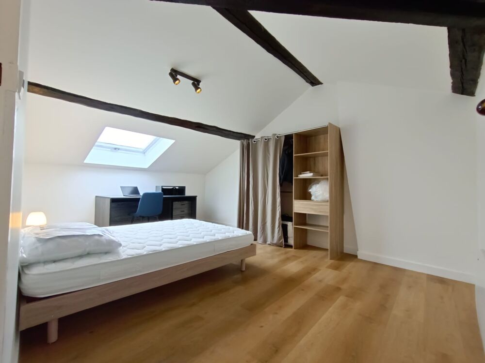 Location Appartement T5 meuble en centre-ville de Roanne Roanne