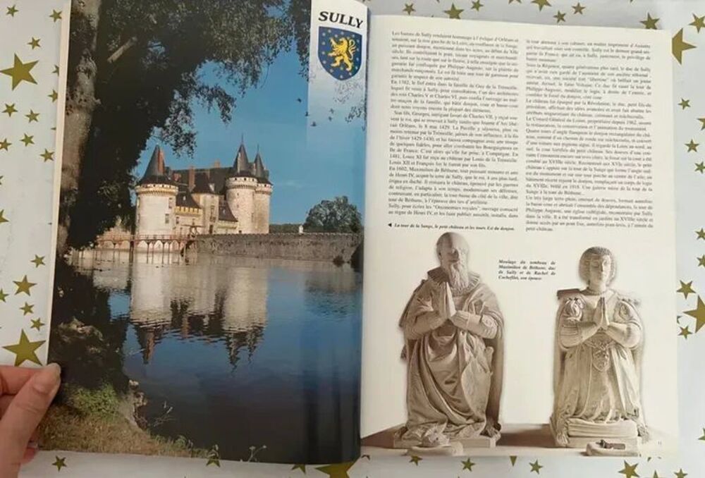 Ch&acirc;teaux de la Loire. Livre Illustr&eacute;. Excellent &Eacute;tat Livres et BD