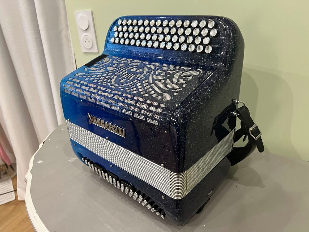 Accord&eacute;on Mengascini F20 &eacute;quip&eacute; midi main gauche 3D41 Instruments de musique