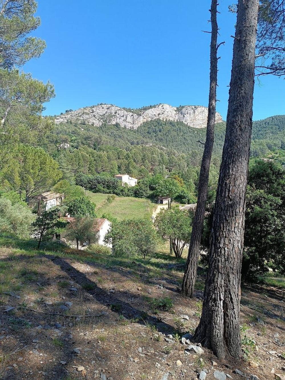 Vente Villa Villa avec terrain de 7000m2 sur Auriol Auriol