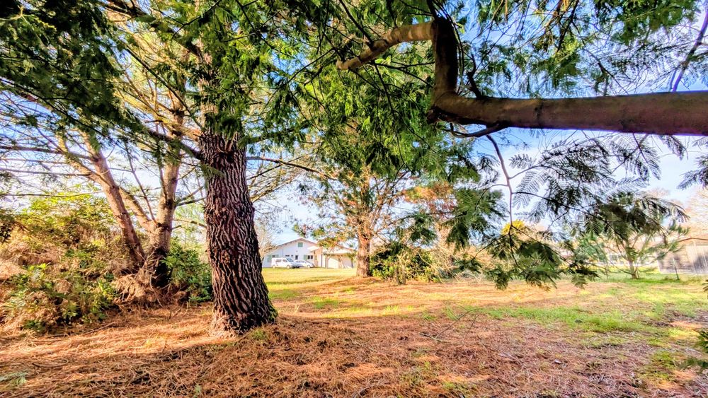 Vente Terrain Magnifique terrain arboré de 1873 m² Sainte-eulalie-en-born