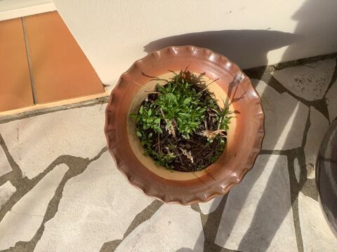 Pot fleur  35 Saint-Hilaire-de-Riez (85)