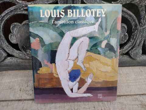Livre Louis Billotey Peintures L'Ambition Classique
25 Loches (37)
