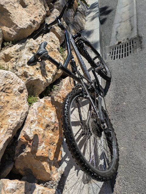 VTT Rockrider 200 Albertville (73)