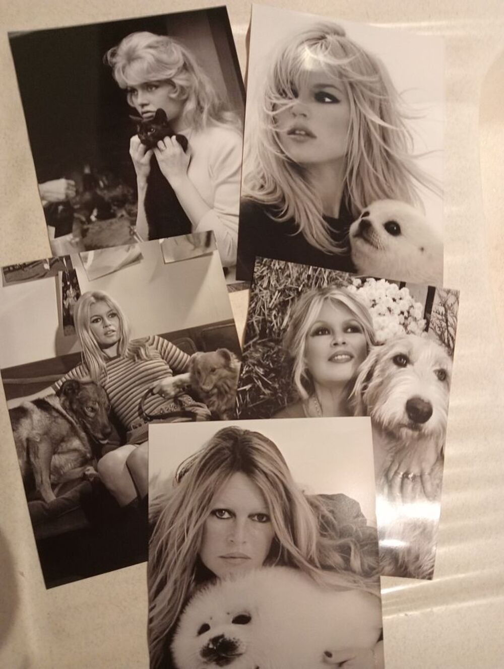 Brigitte bardot cinema cd dvd photos DVD et blu-ray