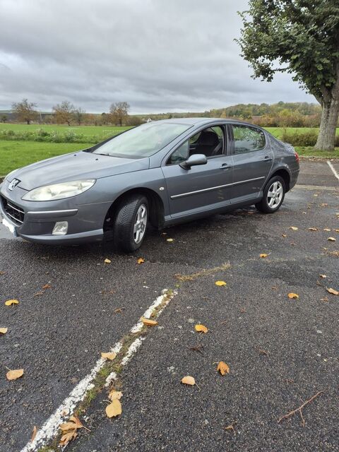 Peugeot 407 1.6 HDi 16V 110ch FAP BLUE LION Navteq
