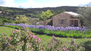 Location  Gîte 