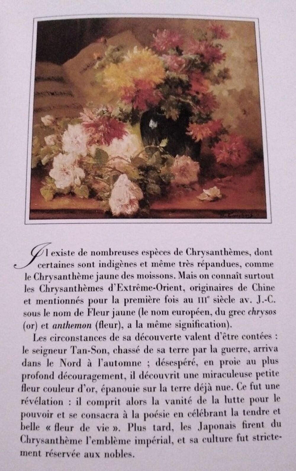 Le Langage des fleurs du temps jadis Livres et BD
