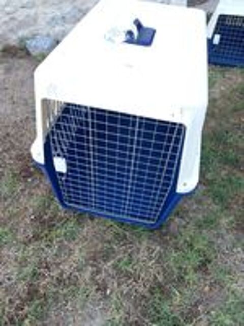   Cage de transport CG3 nomes IATA  