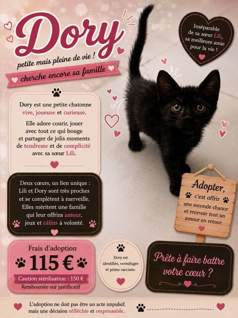 DORY 1 07210 Baix