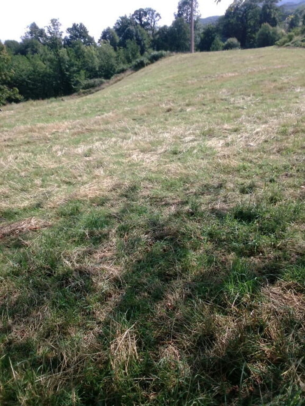 Vente Terrain TERRAIN AVEC GRANGE Esbareich