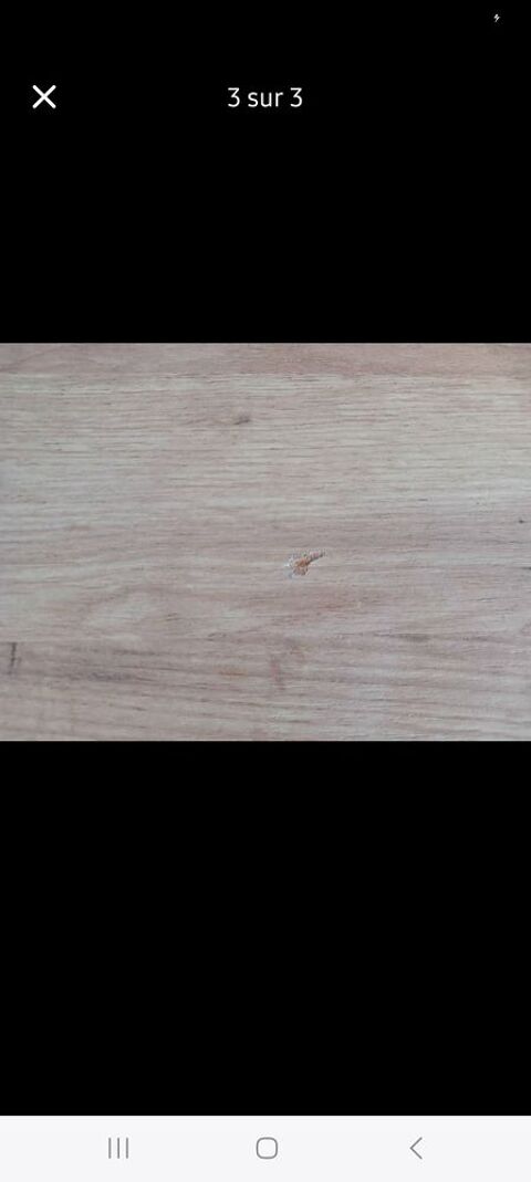 Table basse bois 65 Quimper (29)