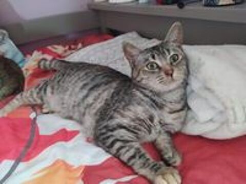   Tsarine attend une famille � elle ! 