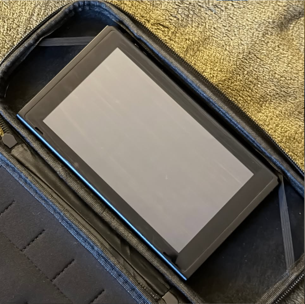 Nintendo Switch + pochette ? Tr&egrave;s bon &eacute;tat Consoles et jeux vidéos