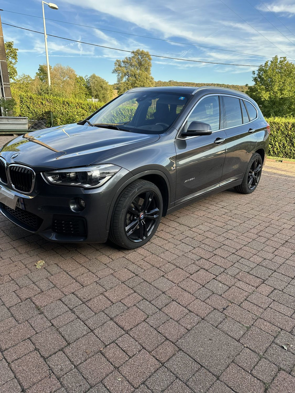 X1 xDrive 25d 231 ch BVA8 M Sport 2017 occasion 68130 Aspach