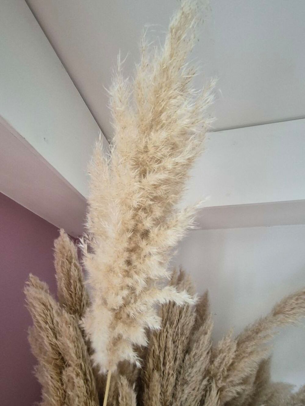 BOUQUET DE TIGE DE PAMPA Décoration