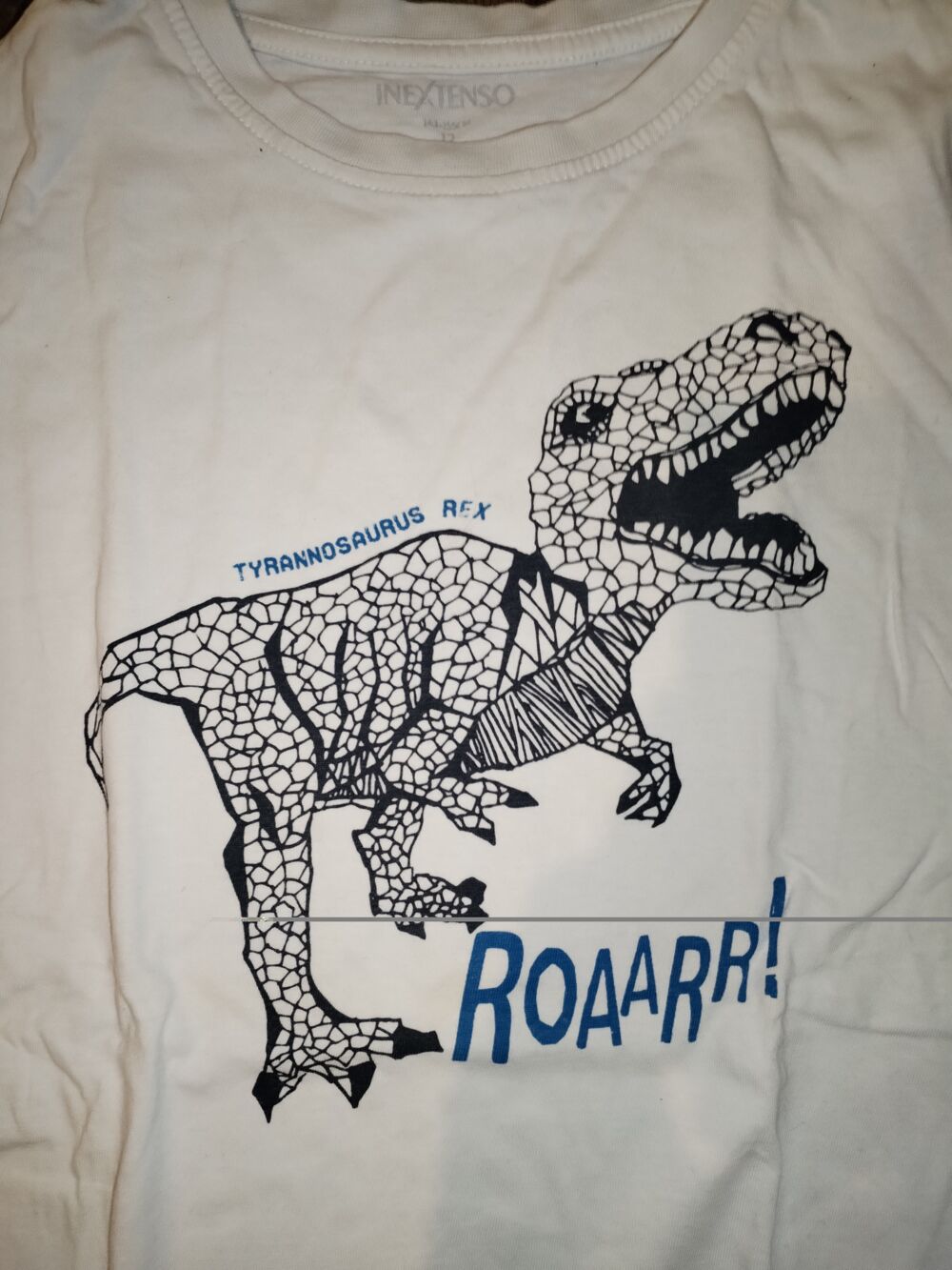 T-shirt enfant (12 ans) dynosaure Vêtements enfants