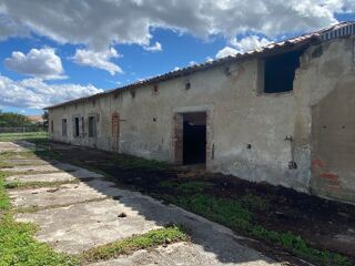  Ferme à vendre 6 pièces 250 m²