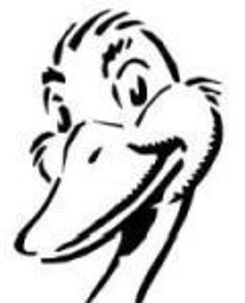   Livraisons express � v�lo sur Rouen 