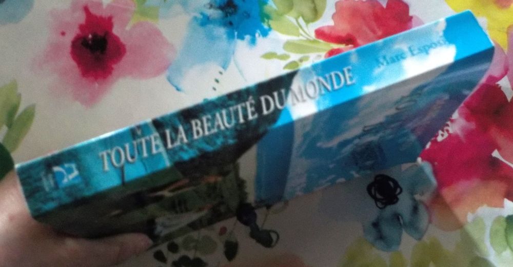 TOUTE LA BEAUTE DU MONDE de Marc ESPOSITO Ed. A. Carri&egrave;re Livres et BD