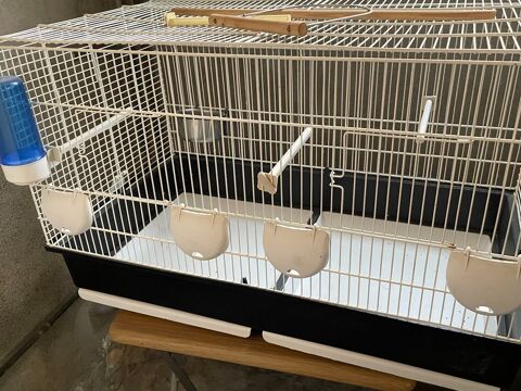 2 cages oiseaux 30 66600 Rivesaltes