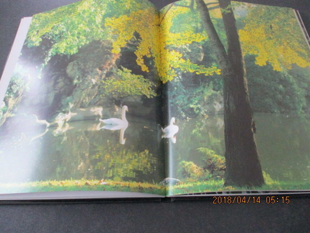 Livre ginkgo biloba Livres et BD