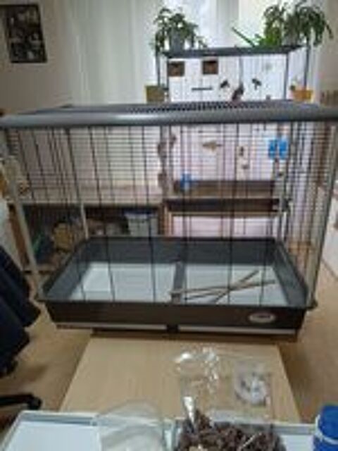   grande cage ferplast 