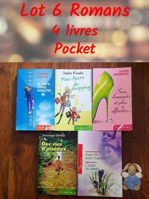 Littérature contemporaine - Lot 6 romans en 5 livres Poche Bondoufle (91)