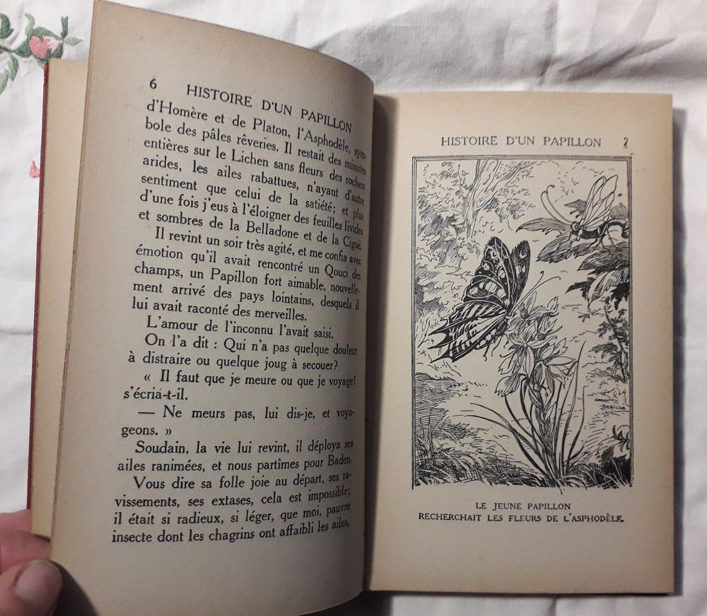 Histoire d'un papillon : &eacute;dition 1932 Livres et BD