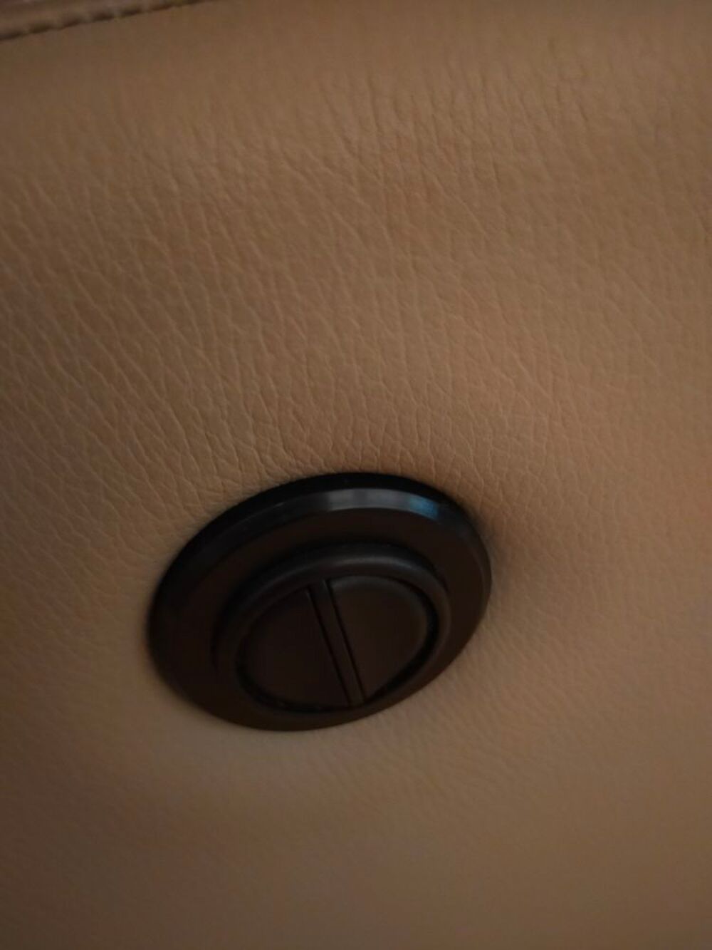 A saisir 2 fauteuils &eacute;lectriques en cuir v&eacute;ritable Meubles