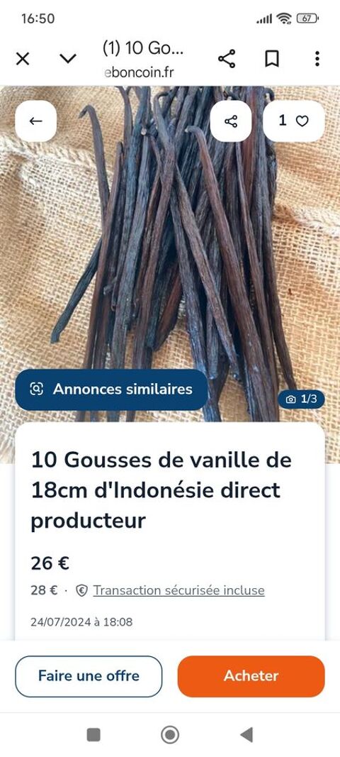 Gousses de vanille bio d'Indonésie récolte 2025 Beaucaire (30)