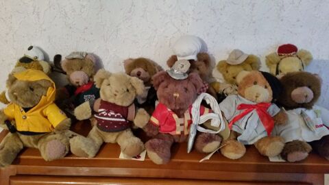 Collection Ours TEDDYBEAR 25 Toulon (83)