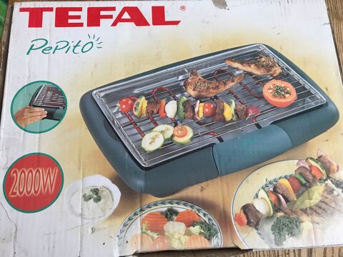 barbecue intrieur 30 Meilhards (19)