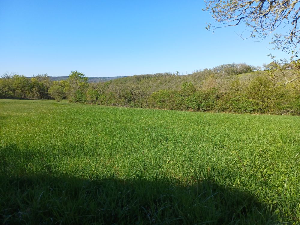Vente Terrain TERRAIN 7 435 M2 : 59 000 € Saint-germain-du-bel-air