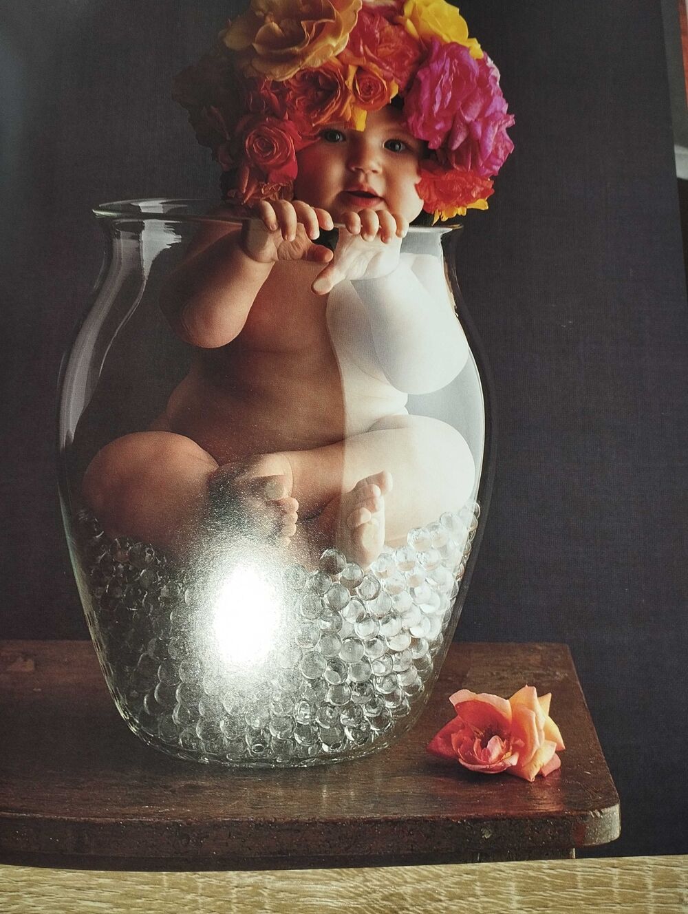 livre Anne Geddes Livres et BD