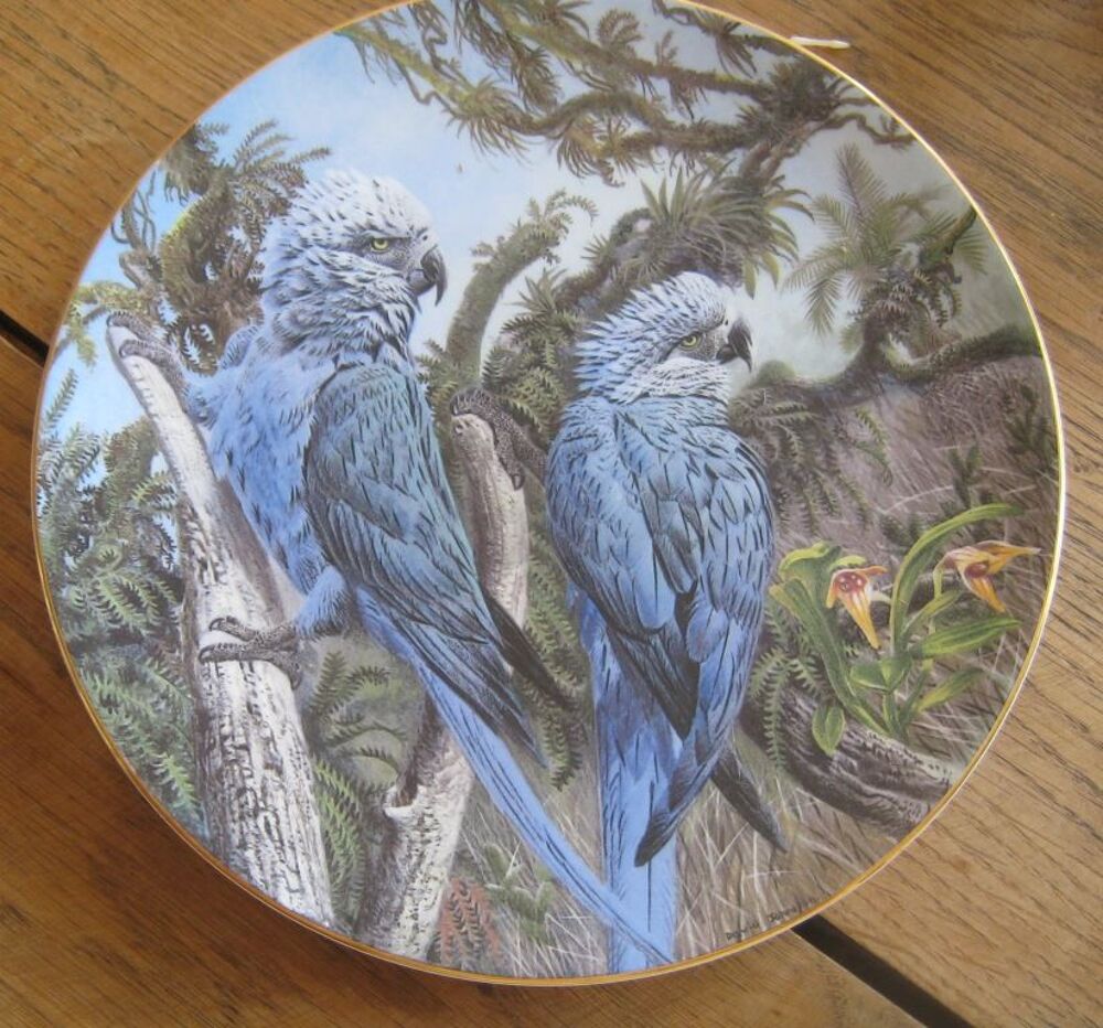  westwood : 5 assiettes de la collection Fragile Paradise 
