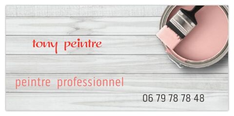 Tony peinture 130 Crteil (94)
