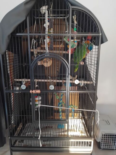 Cage xxl 300 44150 Ancenis