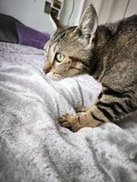   Illy, une petite âme tendre qui rêve enfin de son foyer  