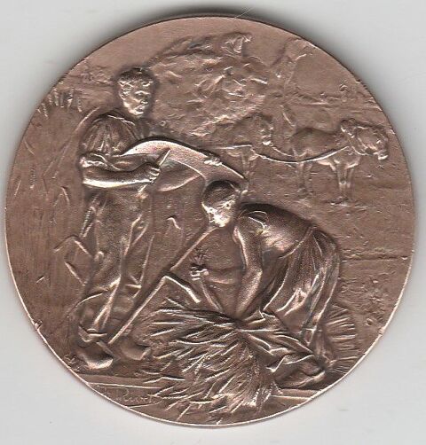 Mdaille en Bronze de Adolphe Rivet dans son crin. 27 Doullens (80)