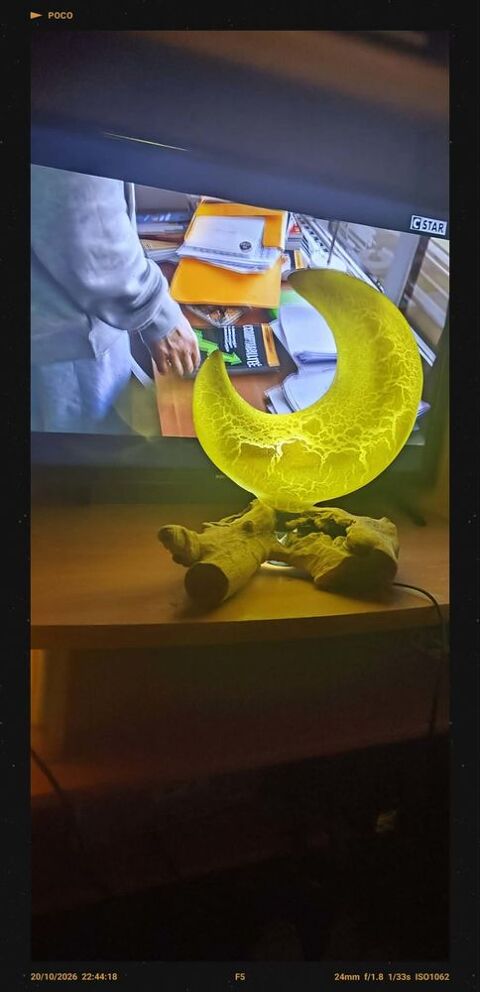 Lampe neuve Aucamville (31)