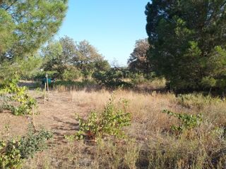  Terrain  louer 5000 m