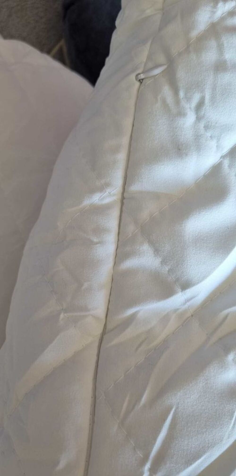 Lot de 2 coussins de garnissage neufs 60cm x 60 Cm Décoration
