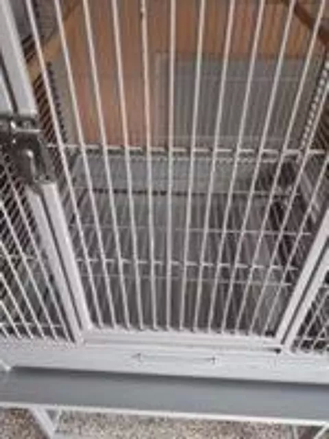 Cage a perroquet ou grande perruche 110 62250 Landrethun-le-nord