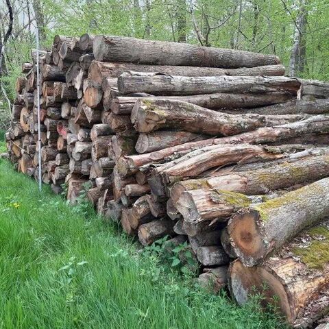 bois de chauffage 85 Damville (27)