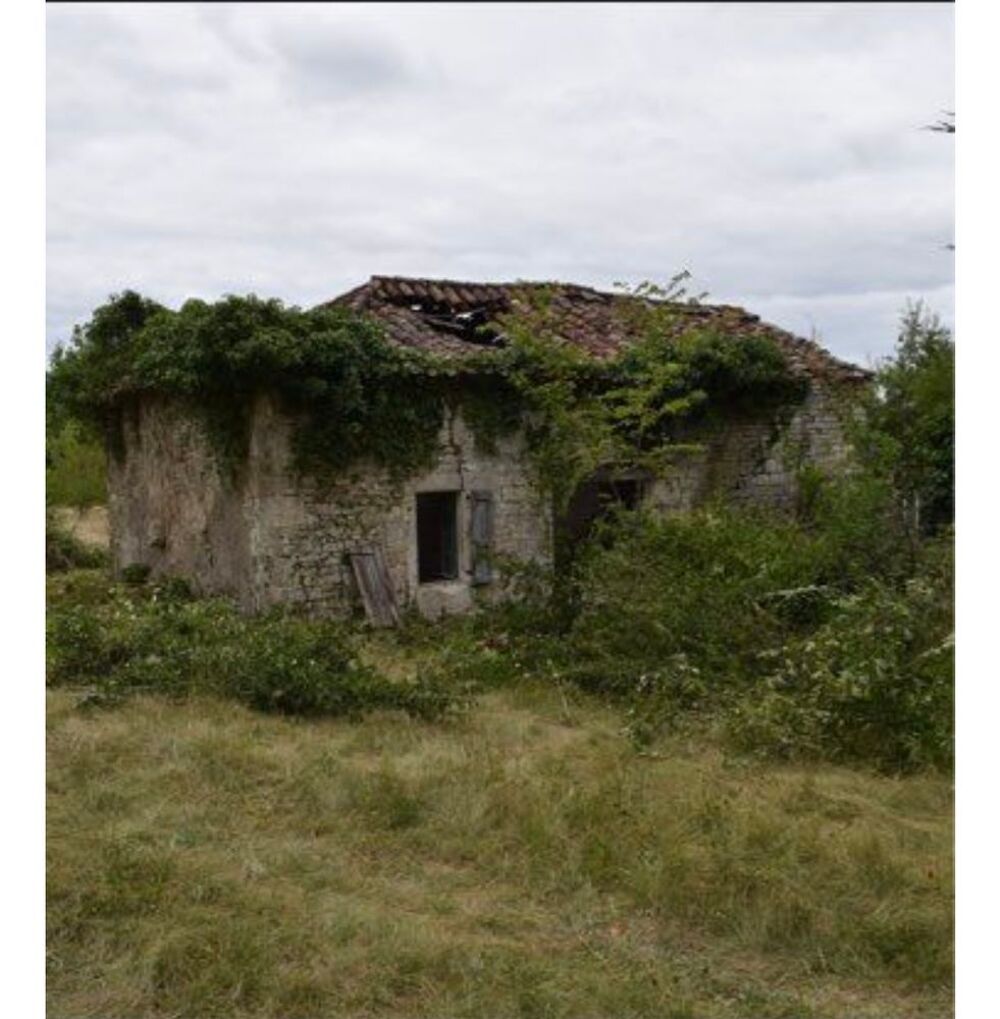 Vente Terrain Terrain constructible et agricole Cieurac
